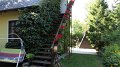 DSC00640 00
